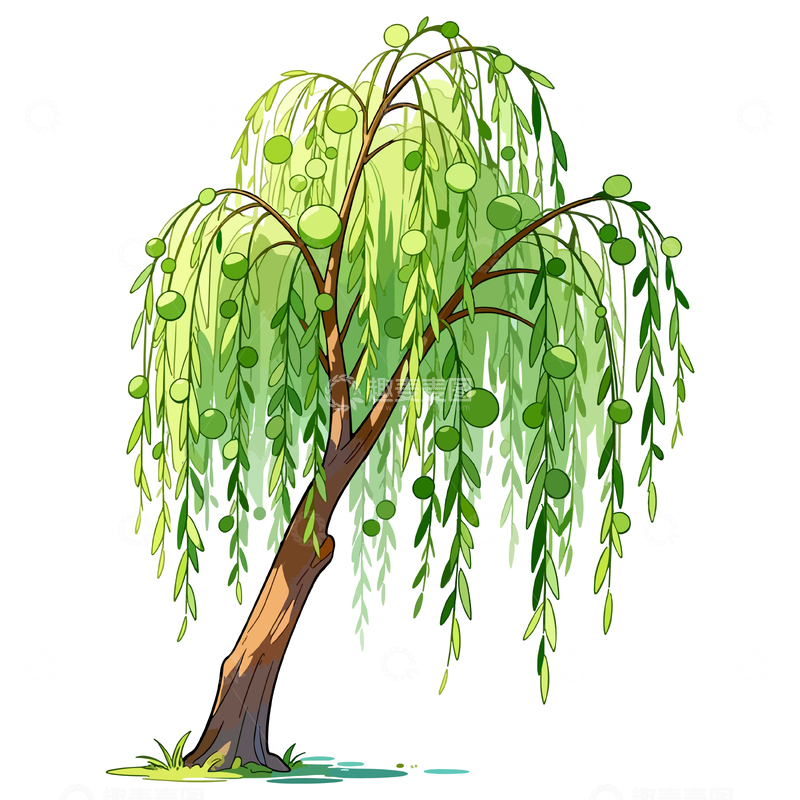 源文件下载【趣麦麦图】卡通柳树春天插画素材