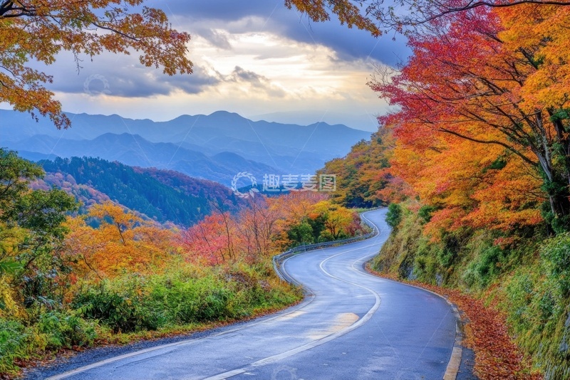 高清大图下载【趣麦麦图】秋季树林马路公路