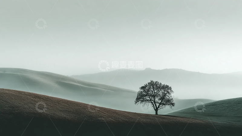 高清大图下载【趣麦麦图】孤树遥望远山的静谧之境
