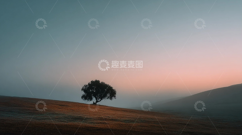 高清大图下载【趣麦麦图】孤独之树的寂寞守望