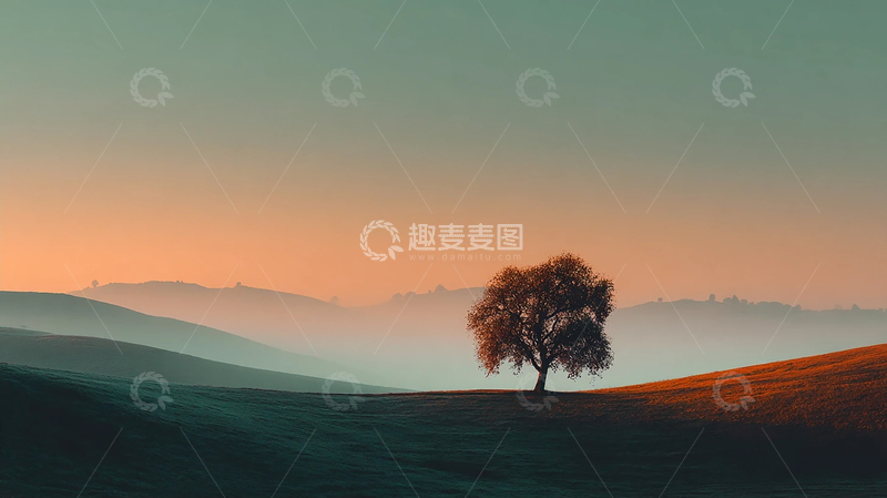 高清大图下载【趣麦麦图】夕阳余晖中的孤独树影