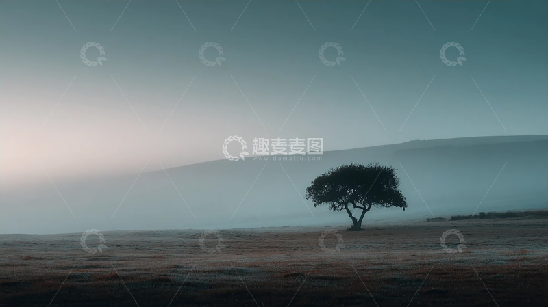 高清大图下载【趣麦麦图】孤寂之树在晨雾中静默