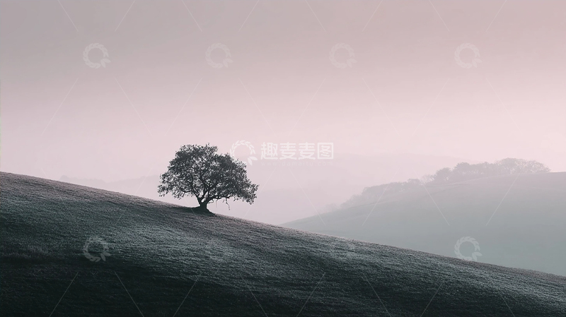 高清大图下载【趣麦麦图】孤树横斜霜天染梦境