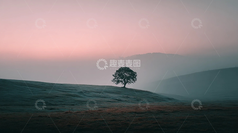 高清大图下载【趣麦麦图】晨曦中的孤树静谧时光