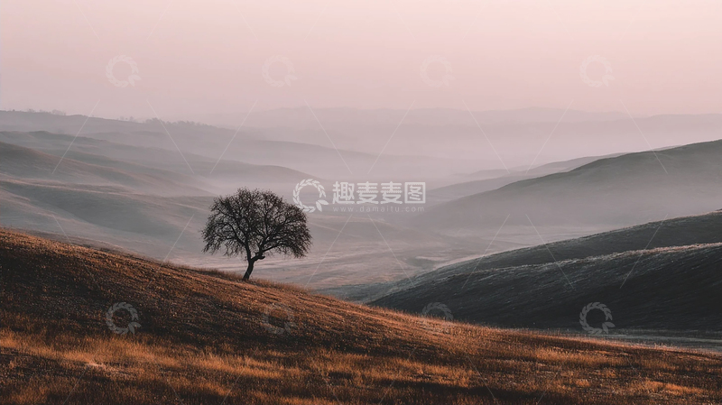 高清大图下载【趣麦麦图】孤树映衬秋日夕阳的低语
