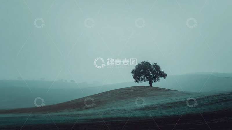 高清大图下载【趣麦麦图】寂静孤树的梦幻旅途