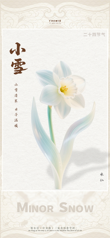 淡雅水仙小雪节气海报