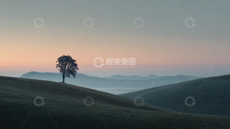 高清大图下载【趣麦麦图】迷雾之中的孤树守望