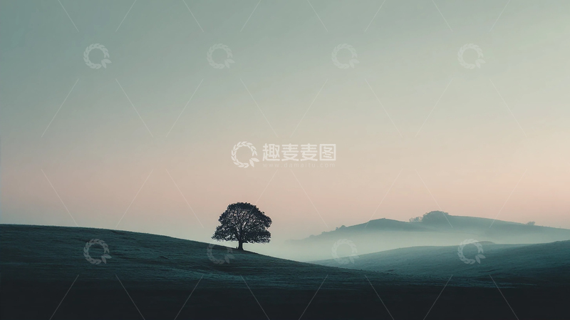 高清大图下载【趣麦麦图】孤树与晨雾的静谧交响