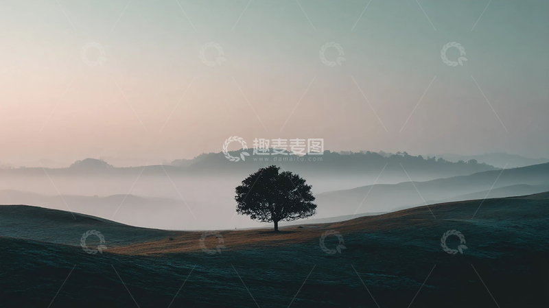 高清大图下载【趣麦麦图】孤树静谧山谷的梦幻诗篇