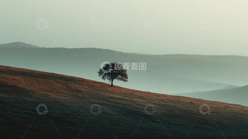 高清大图下载【趣麦麦图】孤树荒漠中的宁静之魂
