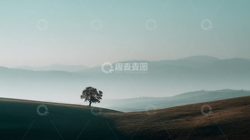 高清大图下载【趣麦麦图】孤树横卧山巅的静谧之美