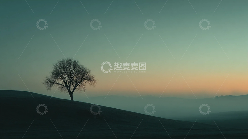 高清大图下载【趣麦麦图】寂静之树的孤独吟唱