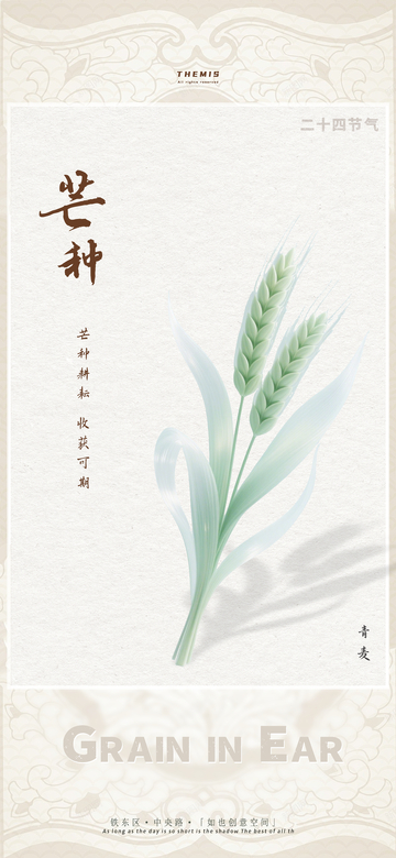 淡雅风格芒种节气宣传海报