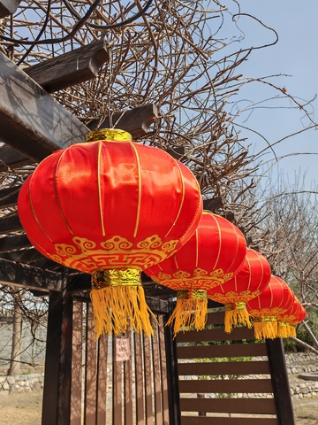 红灯笼节日装饰