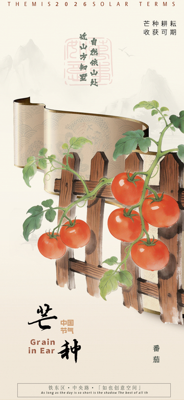 田园风番茄丰收插画