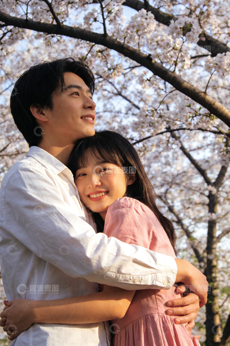 高清大图下载【趣麦麦图】樱花树下相拥情侣写真