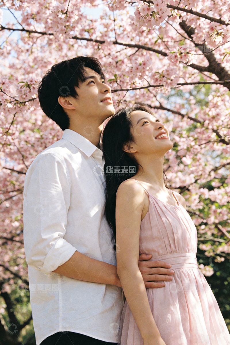 高清大图下载【趣麦麦图】樱花下甜蜜情侣写真