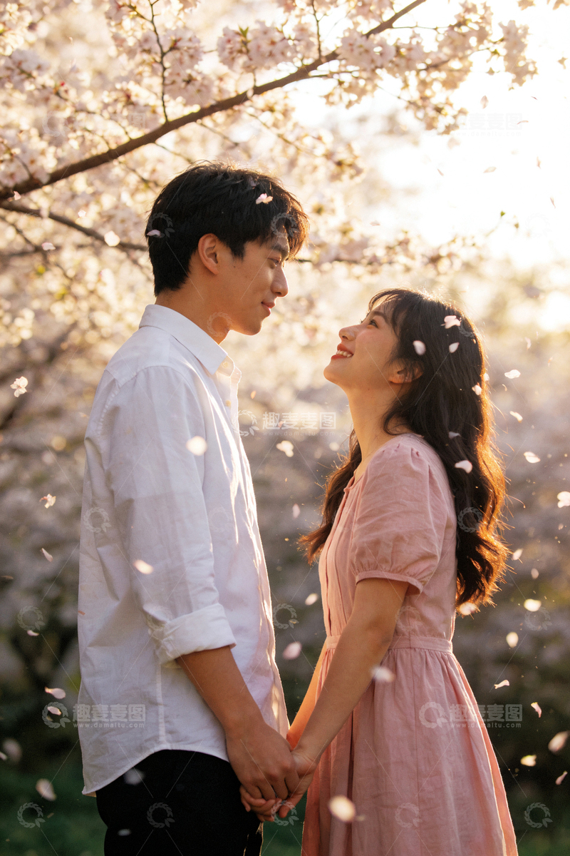 高清大图下载【趣麦麦图】樱花下情侣浪漫写真