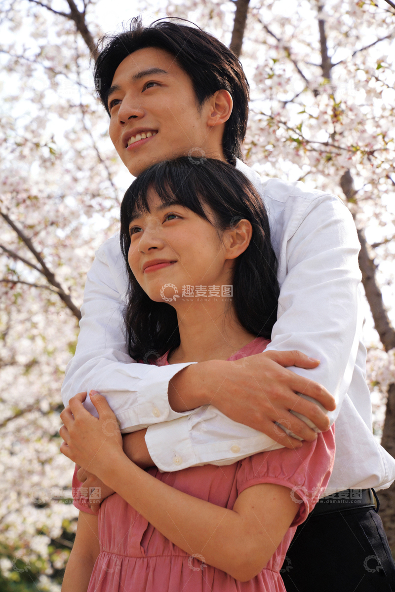 高清大图下载【趣麦麦图】樱花树下情侣拥抱写真
