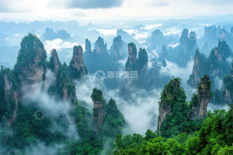 高清大图下载【趣麦麦图】高耸的山林云雾摄影