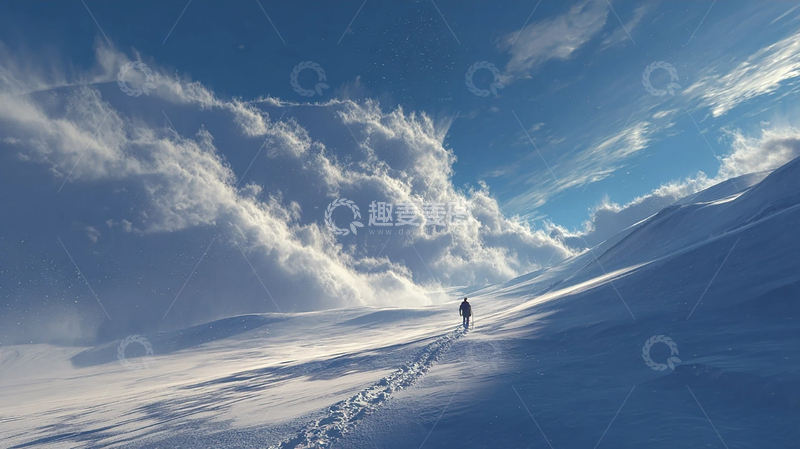 高清大图下载【趣麦麦图】极地孤旅雪原中的生命奇迹