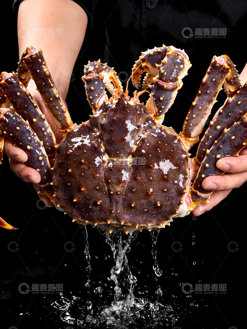 高清大图下载【趣麦麦图】新鲜帝王蟹图片