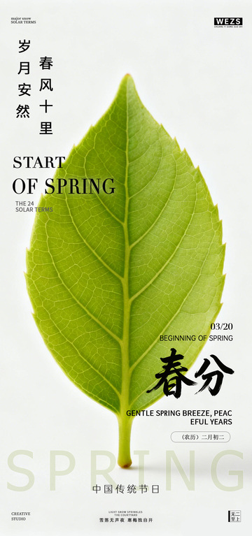 春分节气绿叶海报设计