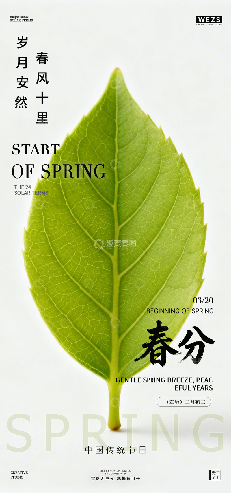源文件下载【趣麦麦图】春分节气绿叶海报设计