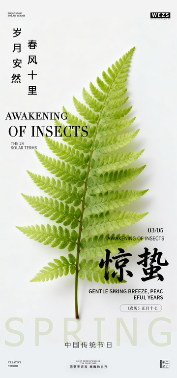 惊蛰春叶节日海报设计素材