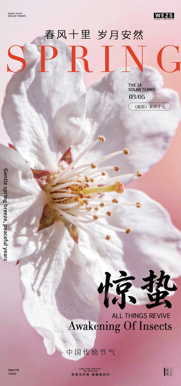 春日花开惊蛰节气海报