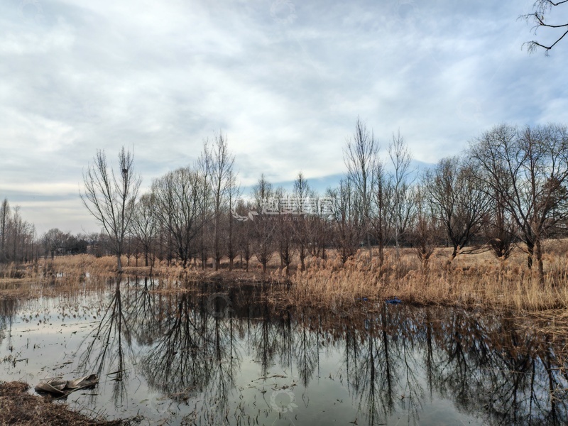 高清大图下载【趣麦麦图】冬日湿地风景摄影