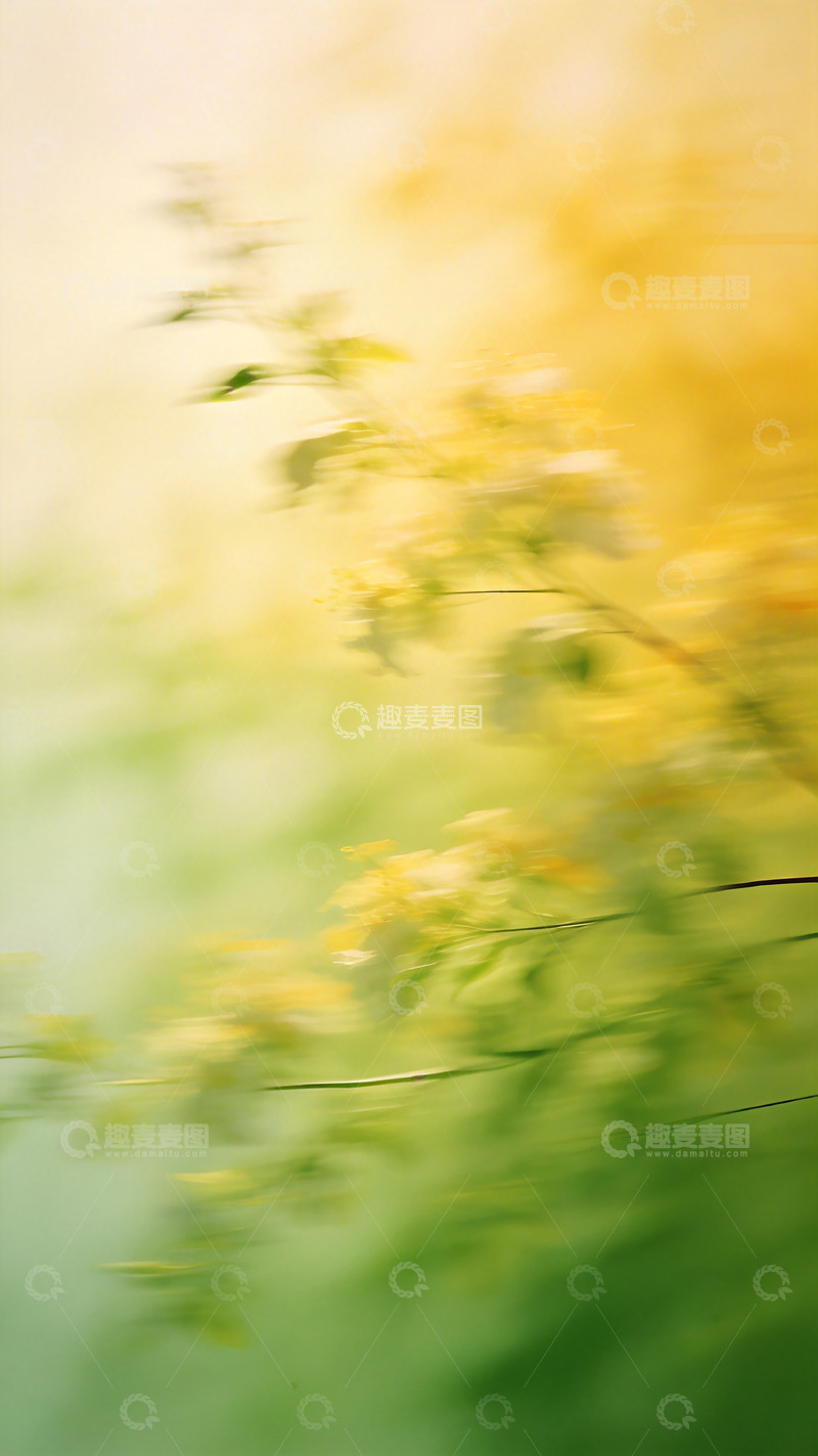 高清大图下载【趣麦麦图】梦幻模糊植物风光摄影