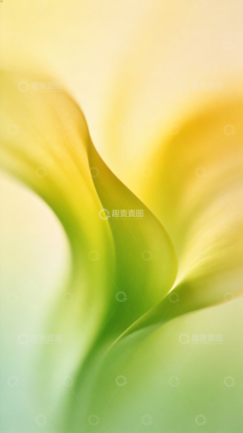 高清大图下载【趣麦麦图】柔美曲线植物特写