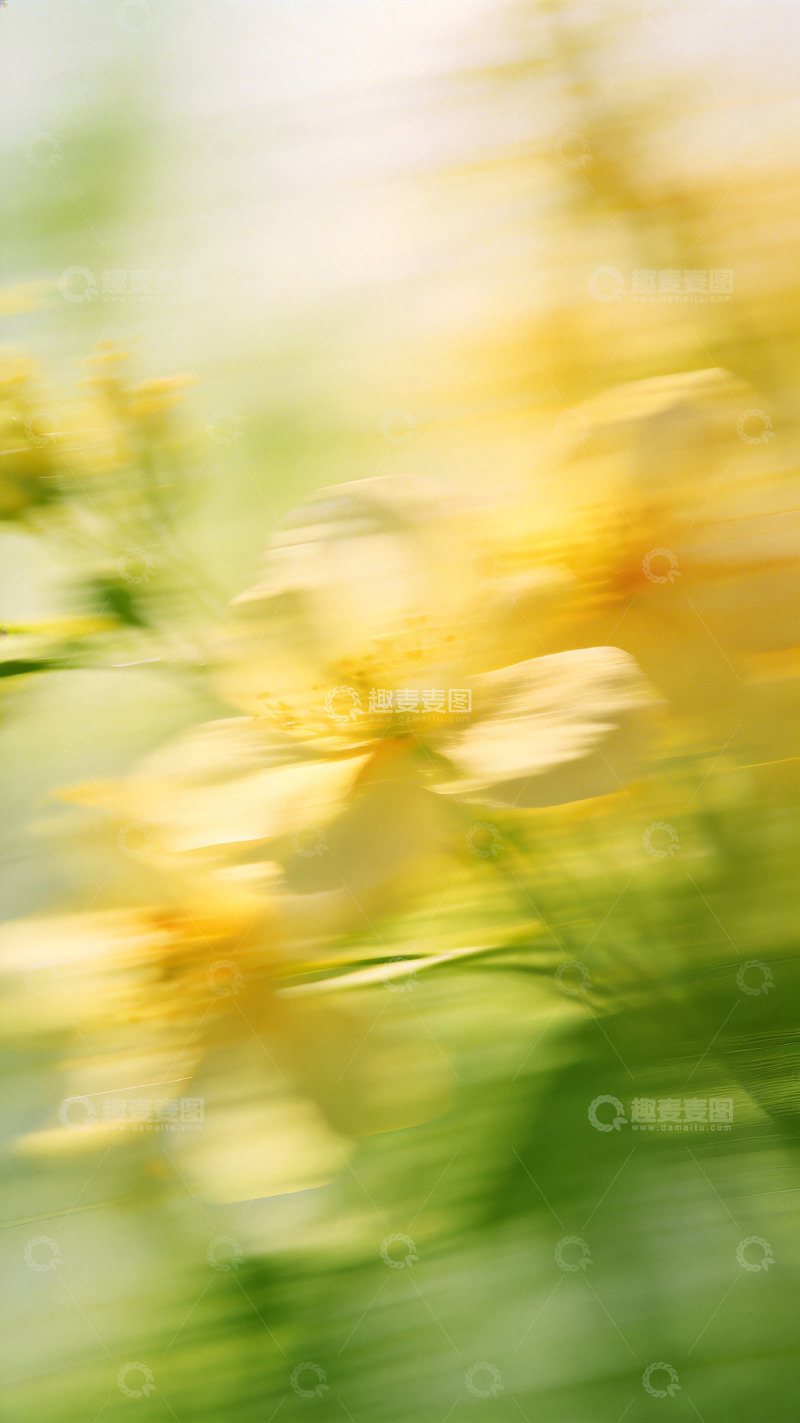 高清大图下载【趣麦麦图】朦胧花影春日风光摄影