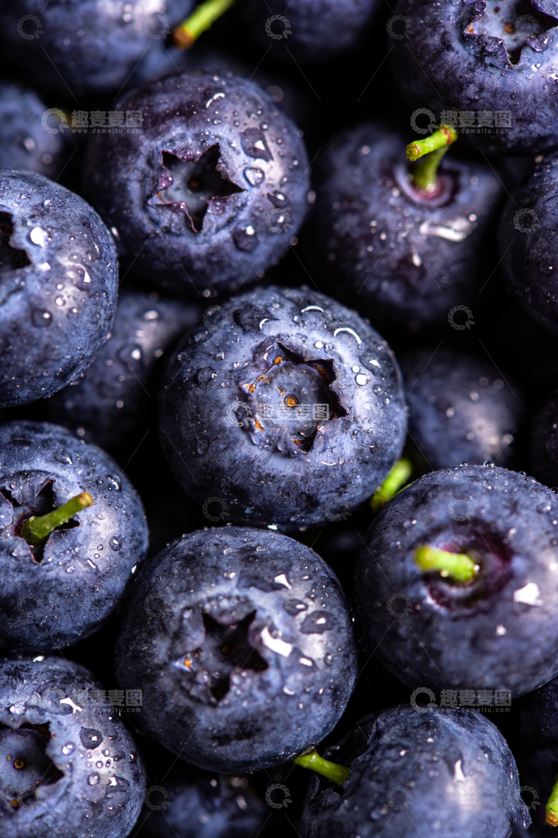 高清大图下载【趣麦麦图】新鲜蓝莓特写摄影图片2
