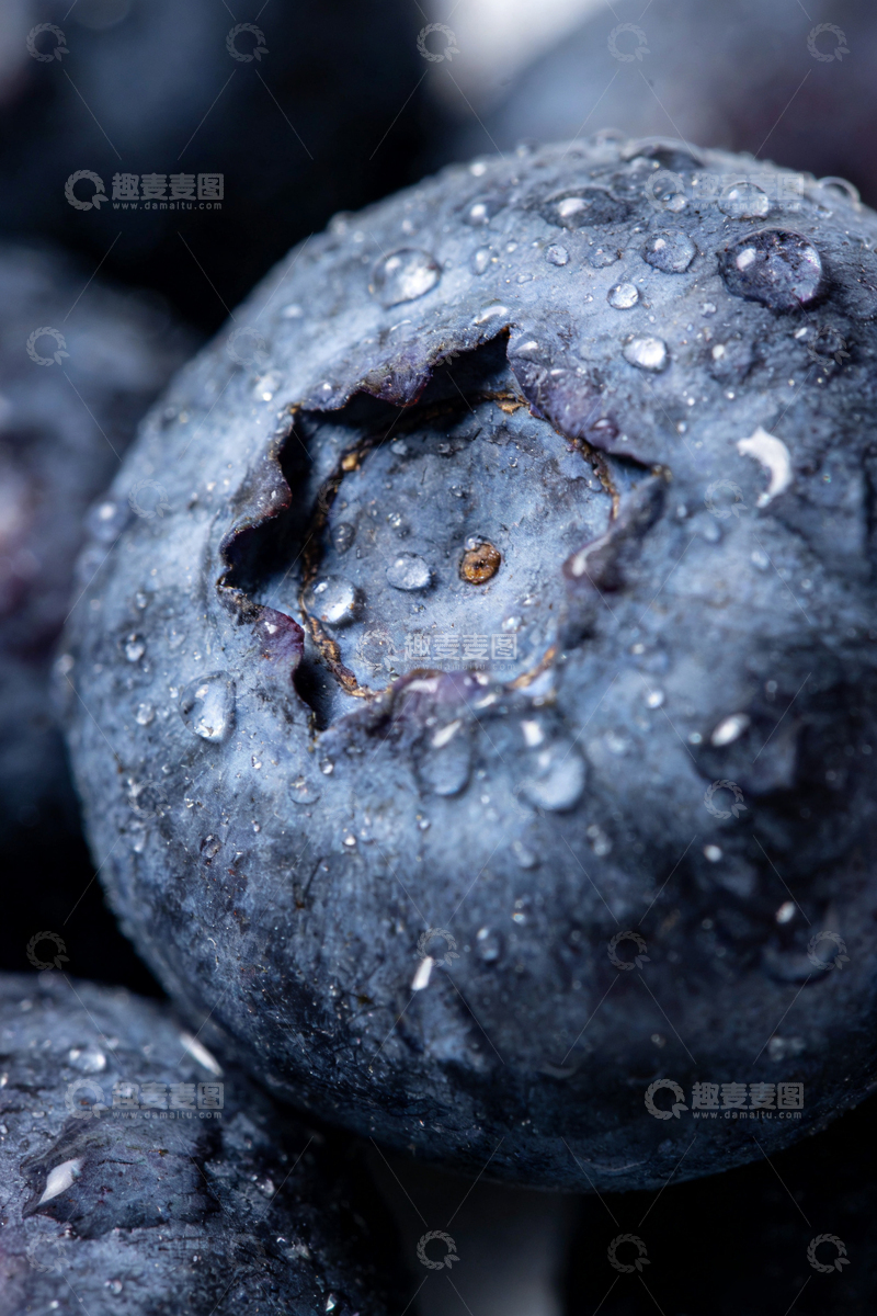 高清大图下载【趣麦麦图】蓝莓特写水滴新鲜水果