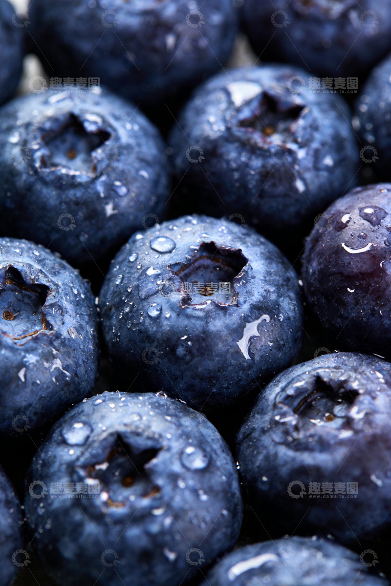 高清大图下载【趣麦麦图】新鲜蓝莓特写摄影1