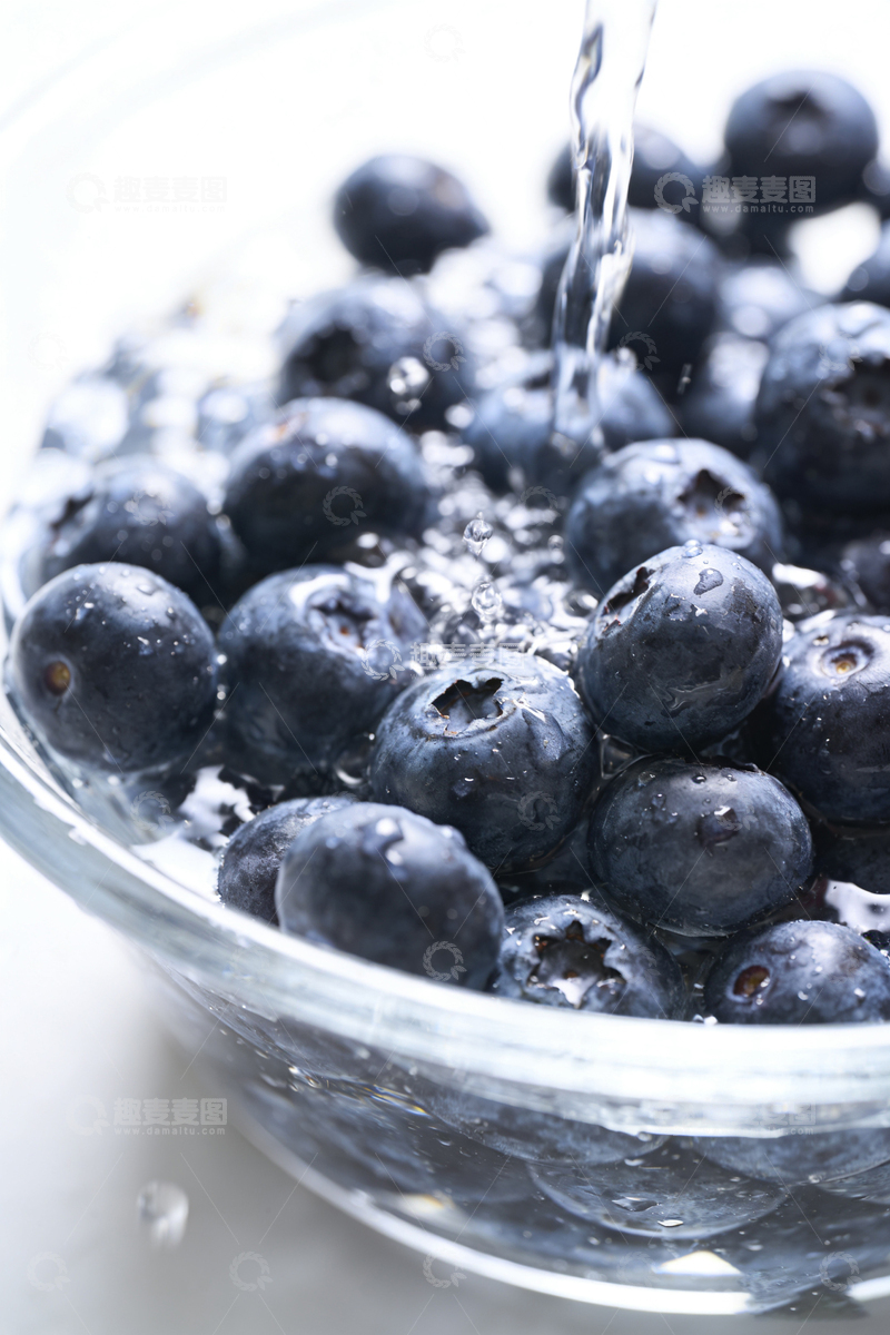 高清大图下载【趣麦麦图】清水蓝莓新鲜美食摄影