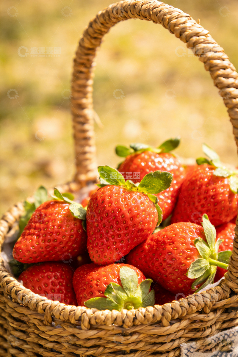 高清大图下载【趣麦麦图】田园风草莓篮子特写摄影