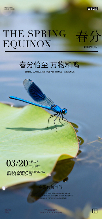 春日蜻蜓荷叶海报设计