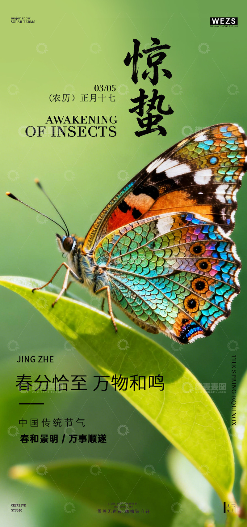 源文件下载【趣麦麦图】惊蛰蝶舞春光美