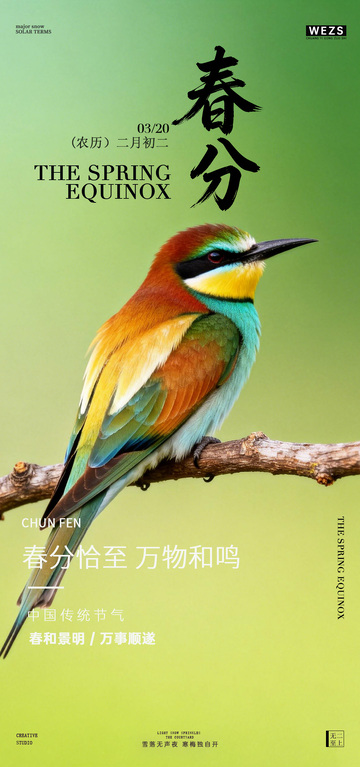 春分鸟语风光海报设计