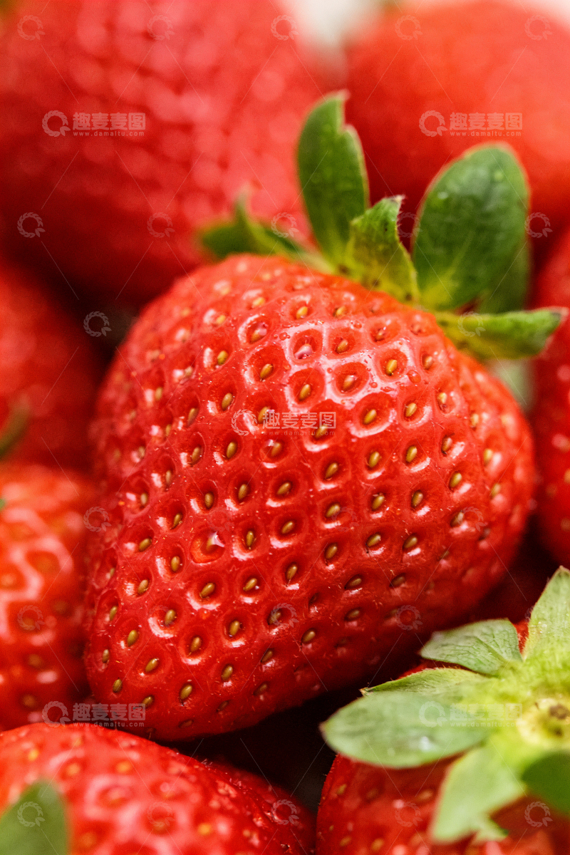 高清大图下载【趣麦麦图】鲜艳草莓特写摄影图片1