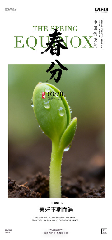 春分新生绿植海报设计