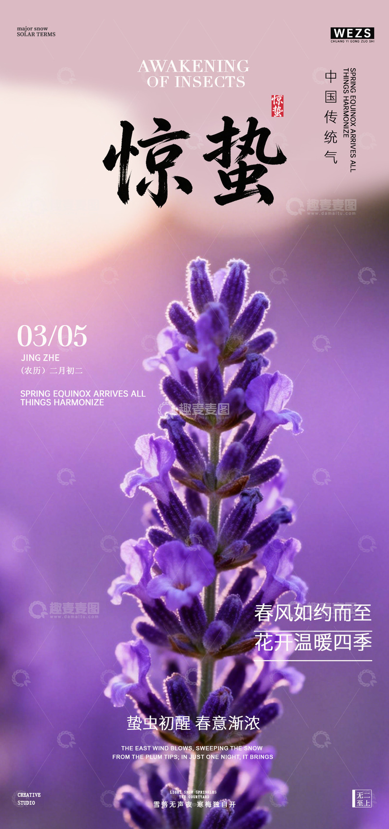 源文件下载【趣麦麦图】薰衣草惊蛰节气海报设计素材