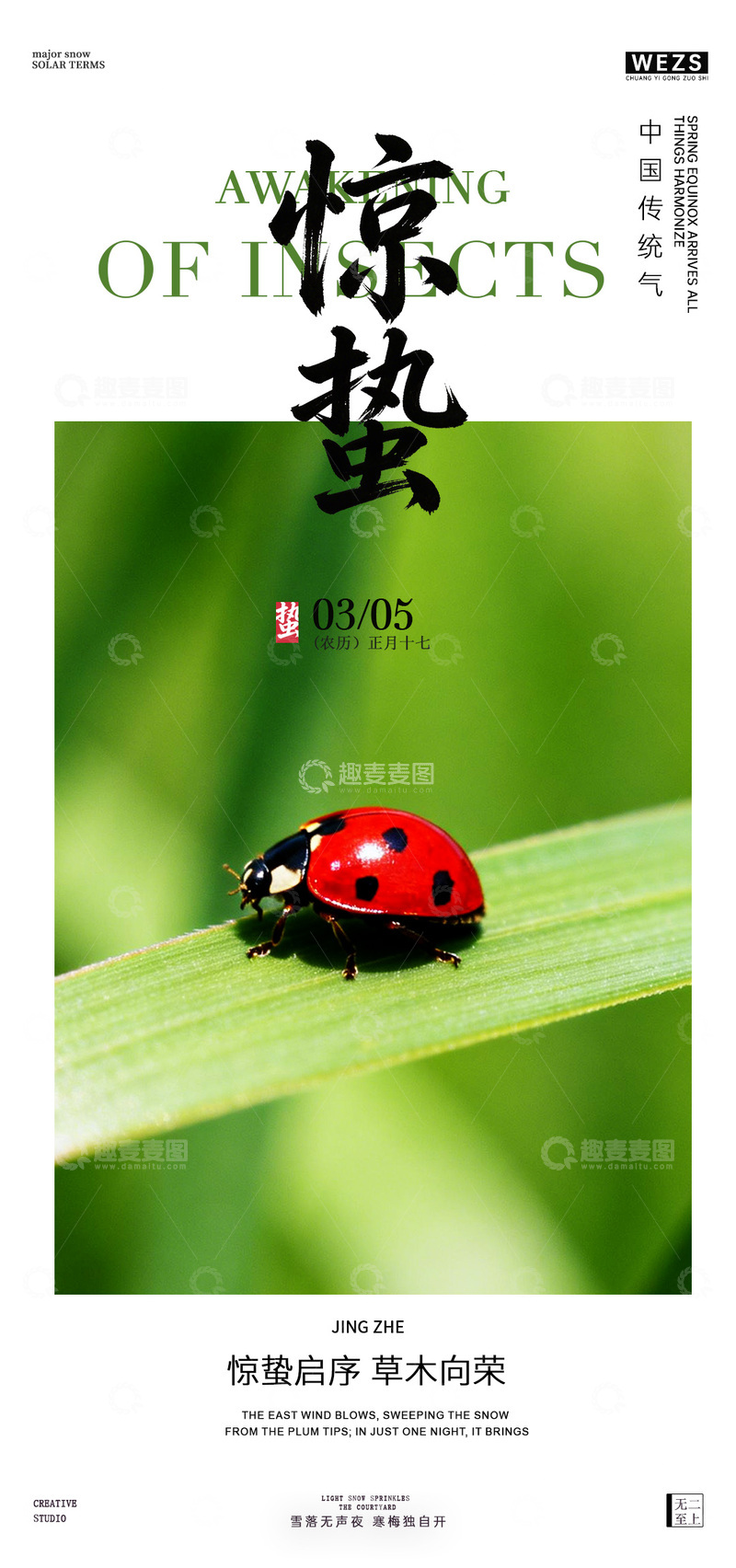 源文件下载【趣麦麦图】惊蛰节气春意盎然手绘瓢虫海报