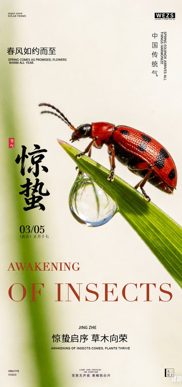 惊蛰节气昆虫觉醒海报设计
