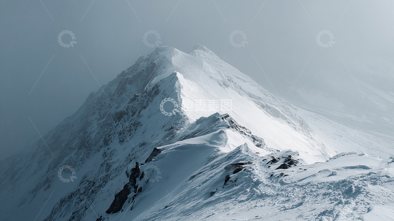 高清大图下载【趣麦麦图】雪山之巅的寂静守望者