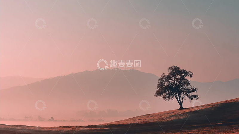 高清大图下载【趣麦麦图】孤树暮色中的静谧时光